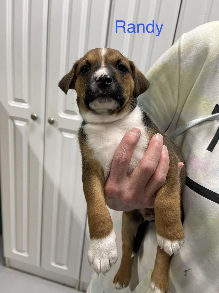 Randy