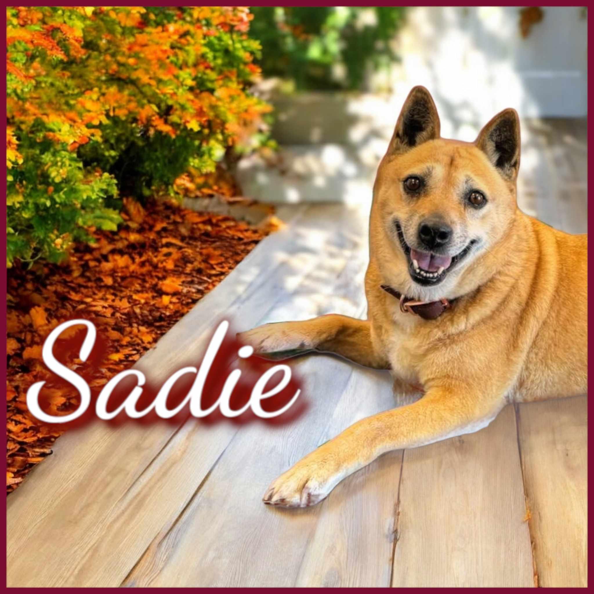 Sadie
