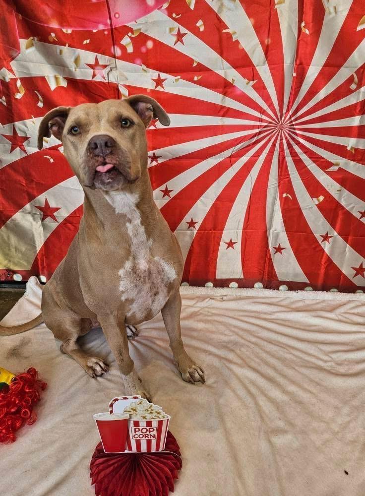 Honey Aka Halsie photo 1