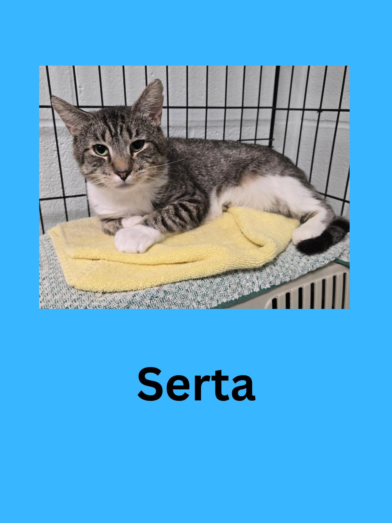Serta