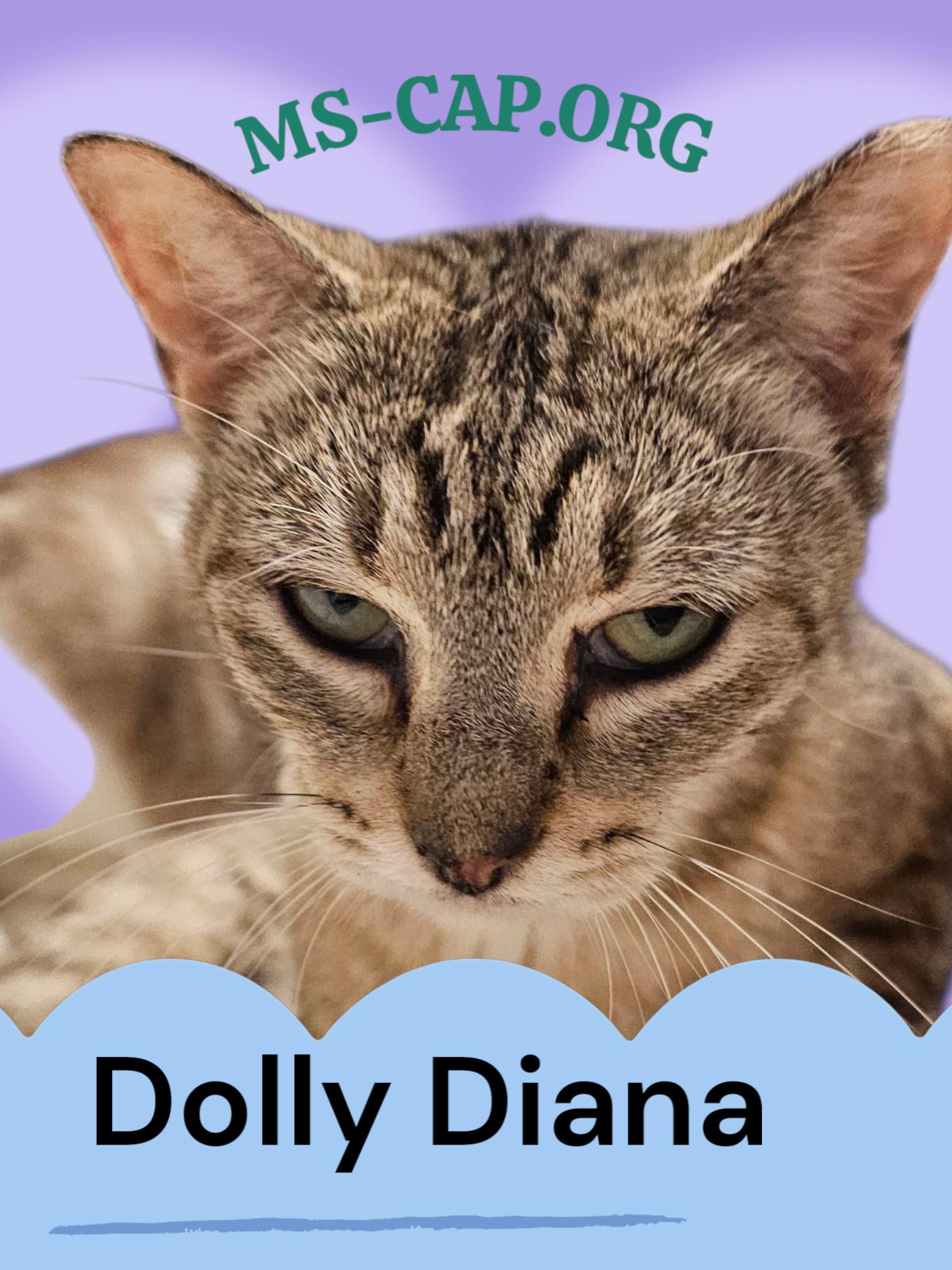 Dolly Diana