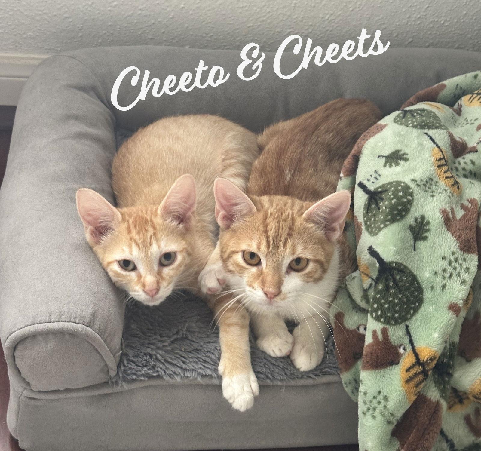 Cheeto & Cheets Bondedpair