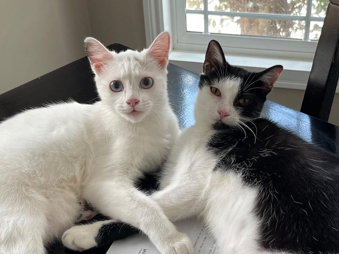 Billie Sue Bonded To photo 1