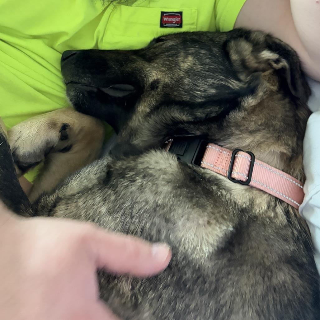 Smiley Cyrus photo 1