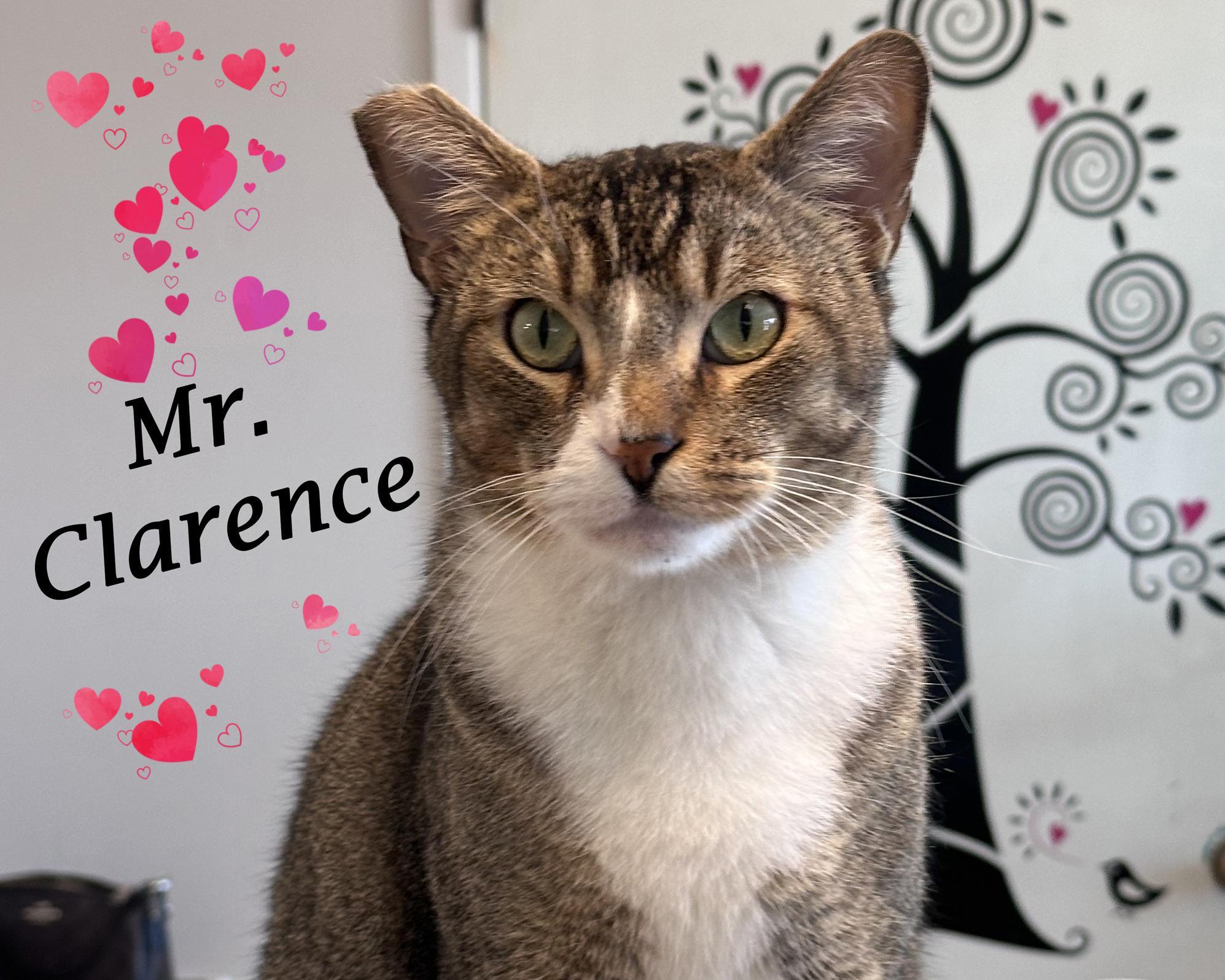 Mr. Clarence
