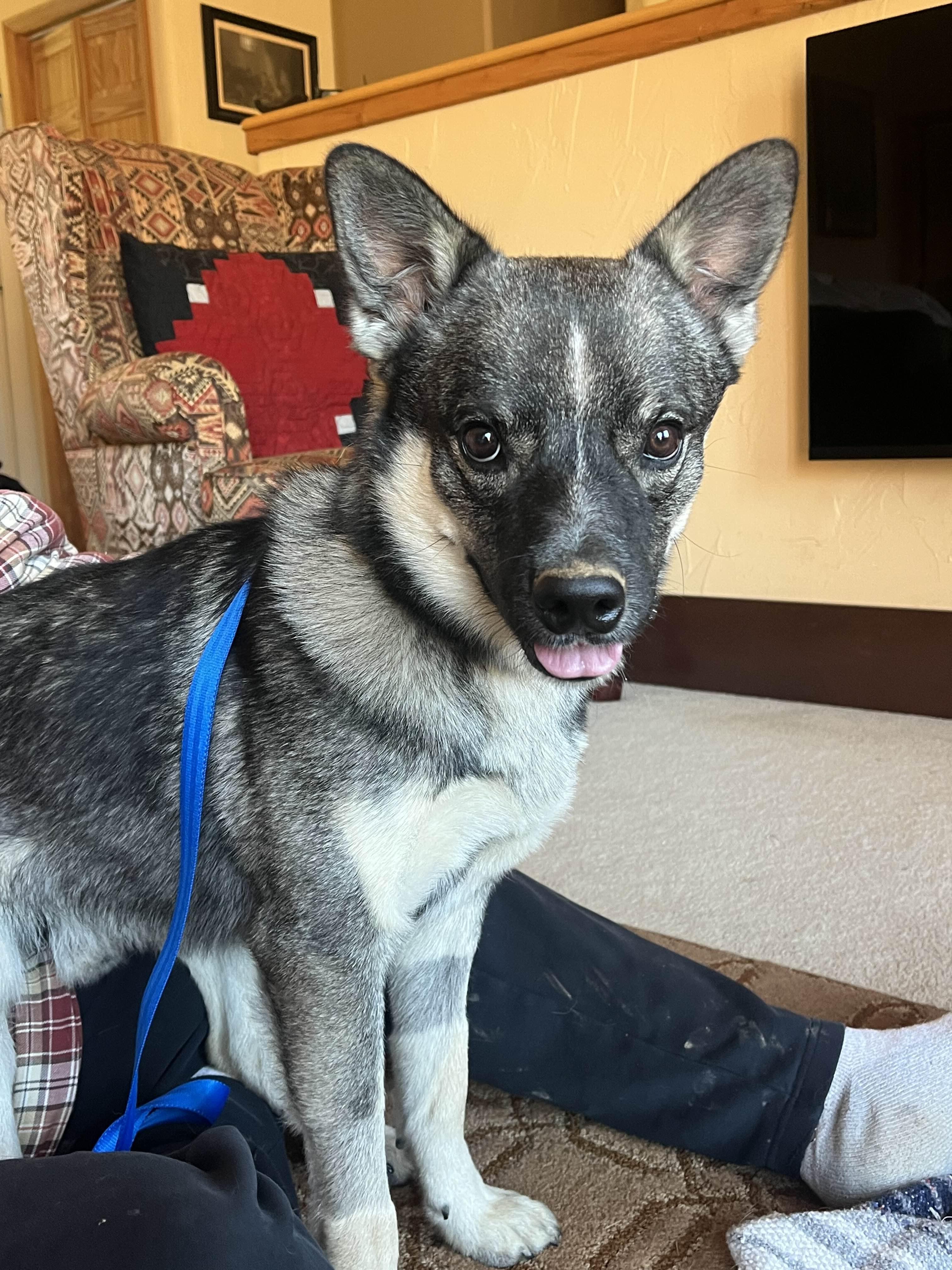 Loki Community Post photo 1