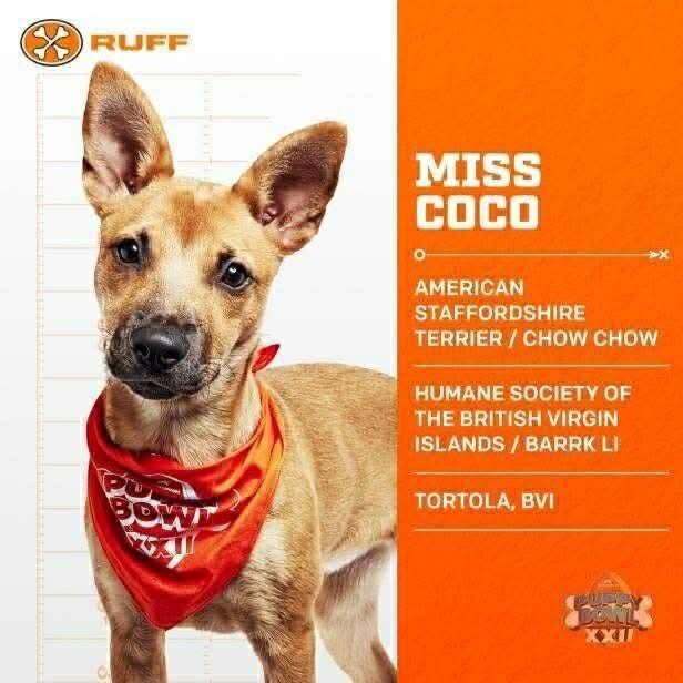 Miss Coco