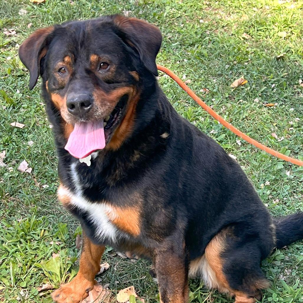 Professor Cosmic Brownie Aka photo 1