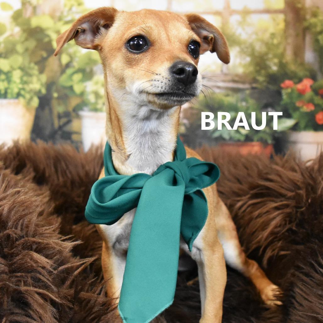 Braut