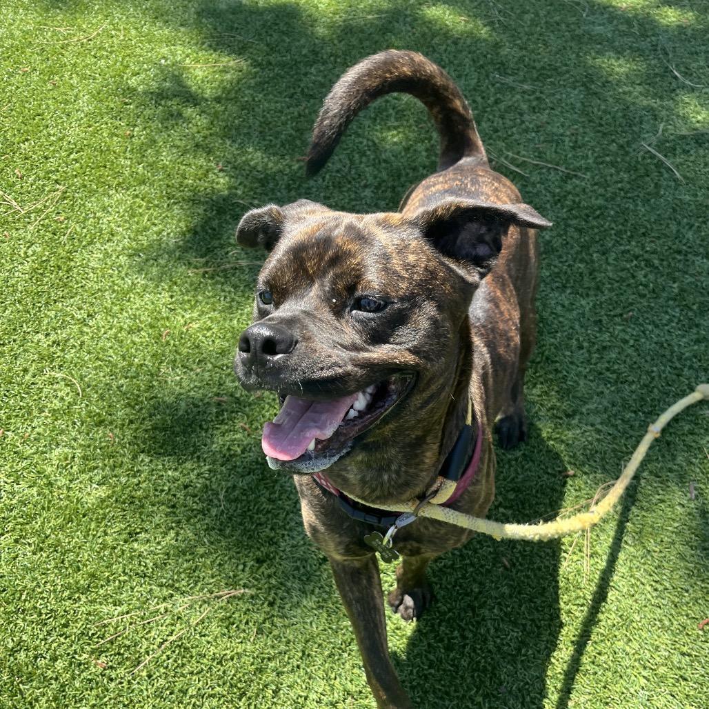 Buttercupcity Of Industry Location