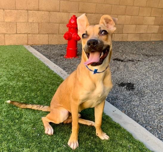 Urgent! Save Me Please!