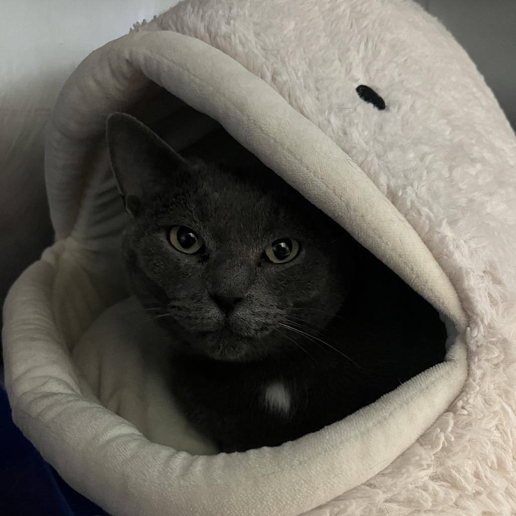 Brynhild Visit Me At