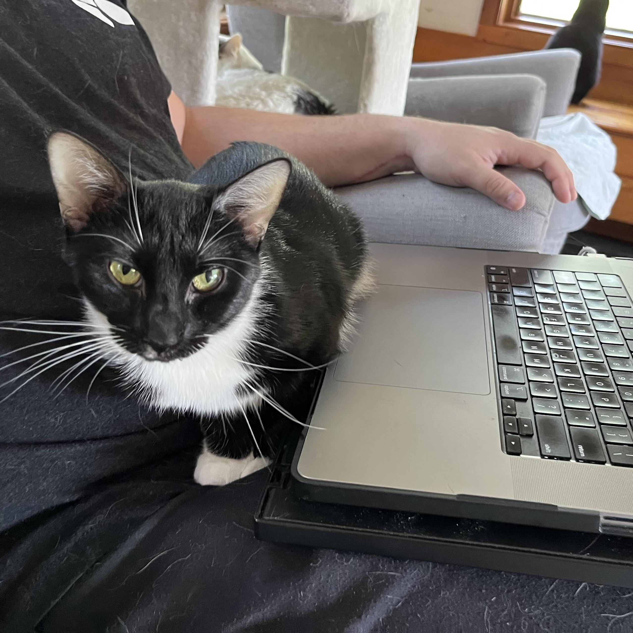 Quinlyn Little Lovebug