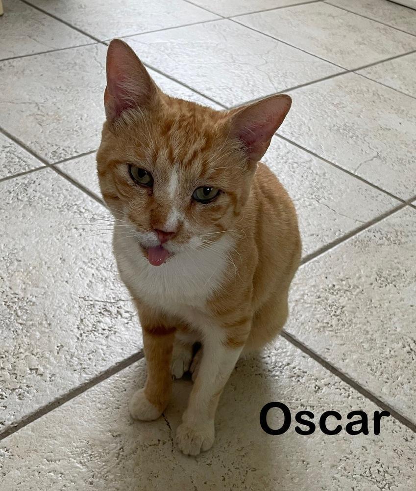 Oscar