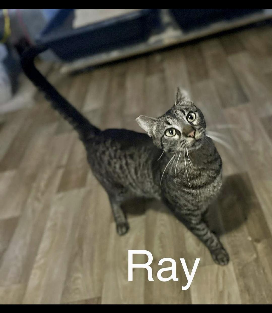 Ray