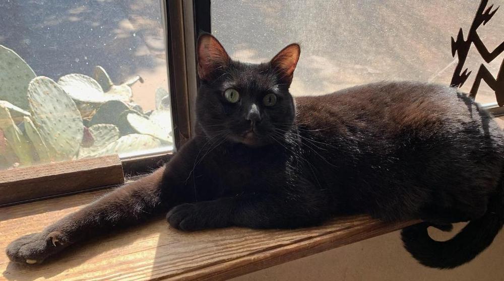 Kristine's Nikki photo 1