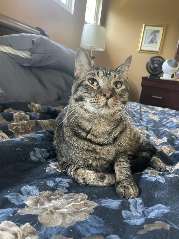 Thunderbird Special Needs