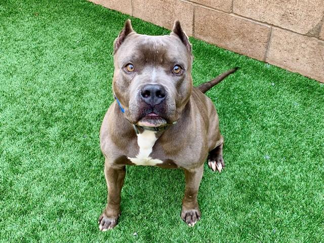 Urgent! Save Me Please!