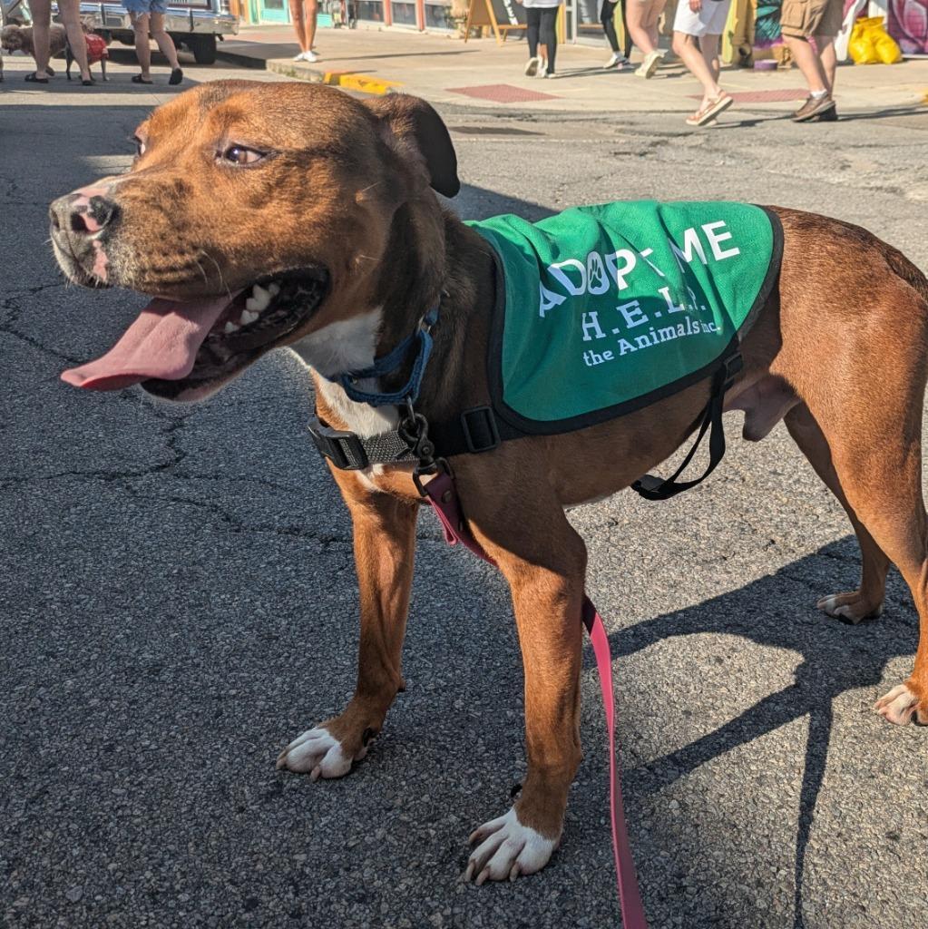 Popsponsored photo 1