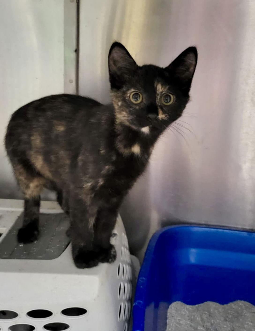 Lizbonded With Colleen