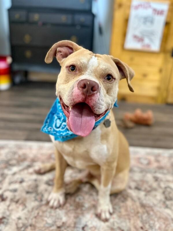 Charlie The Sunshine Sidekick