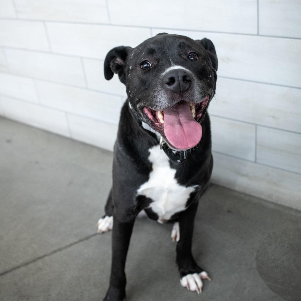 Russell Theodore Iii