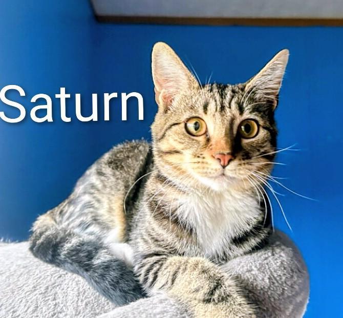 Saturn