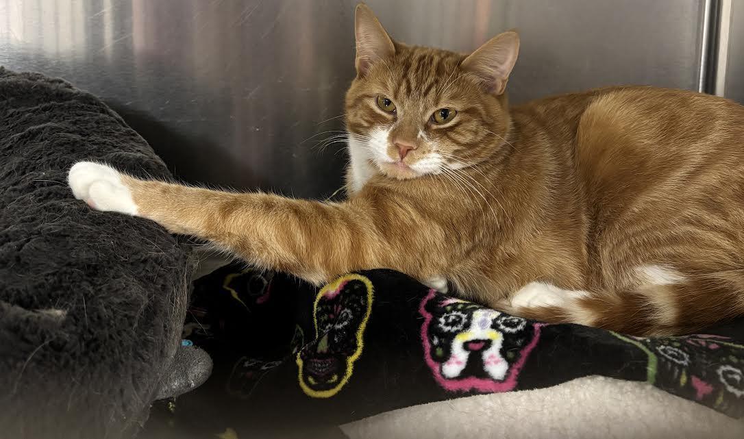 Dominic And Danny photo 1