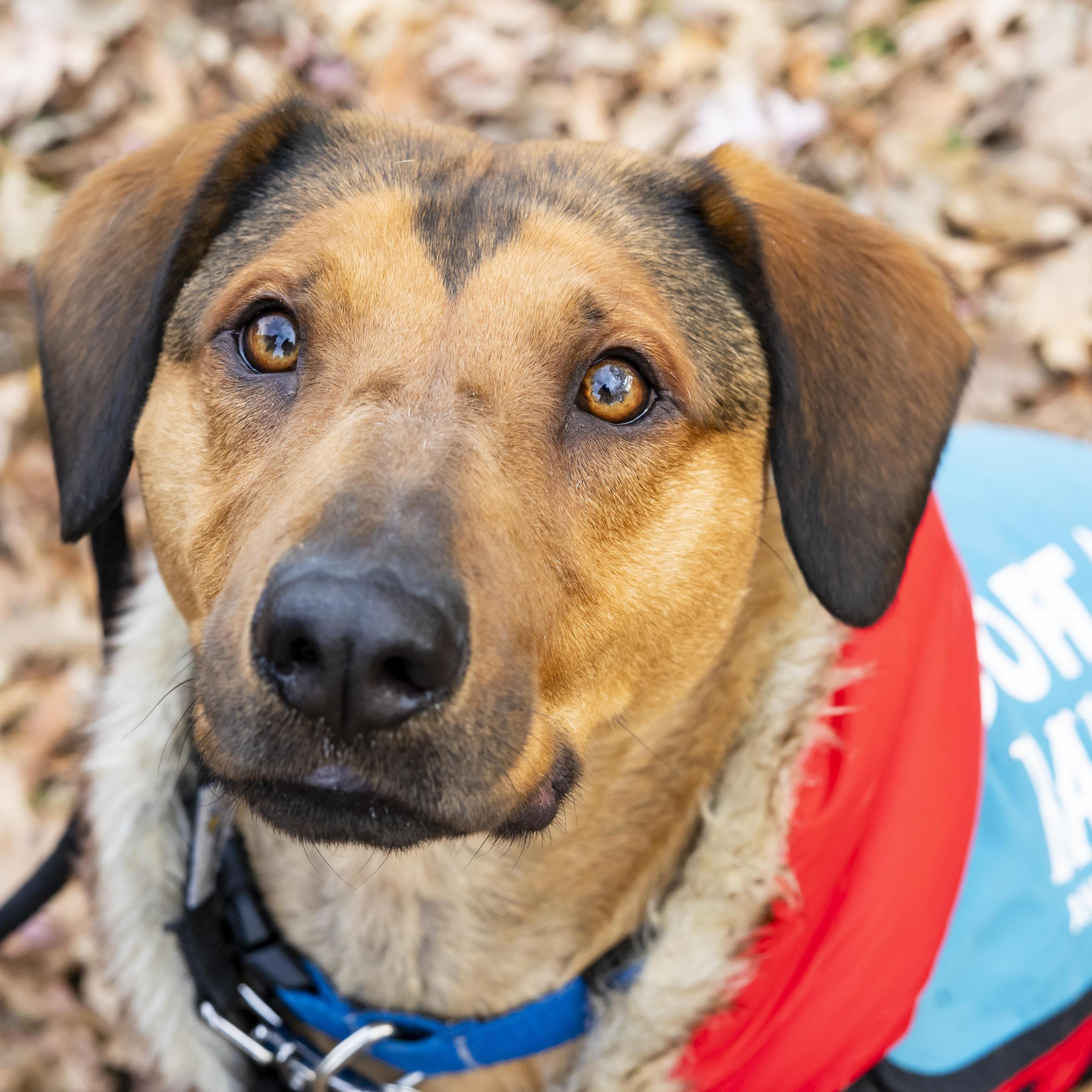 Jasmine Cephas Jones