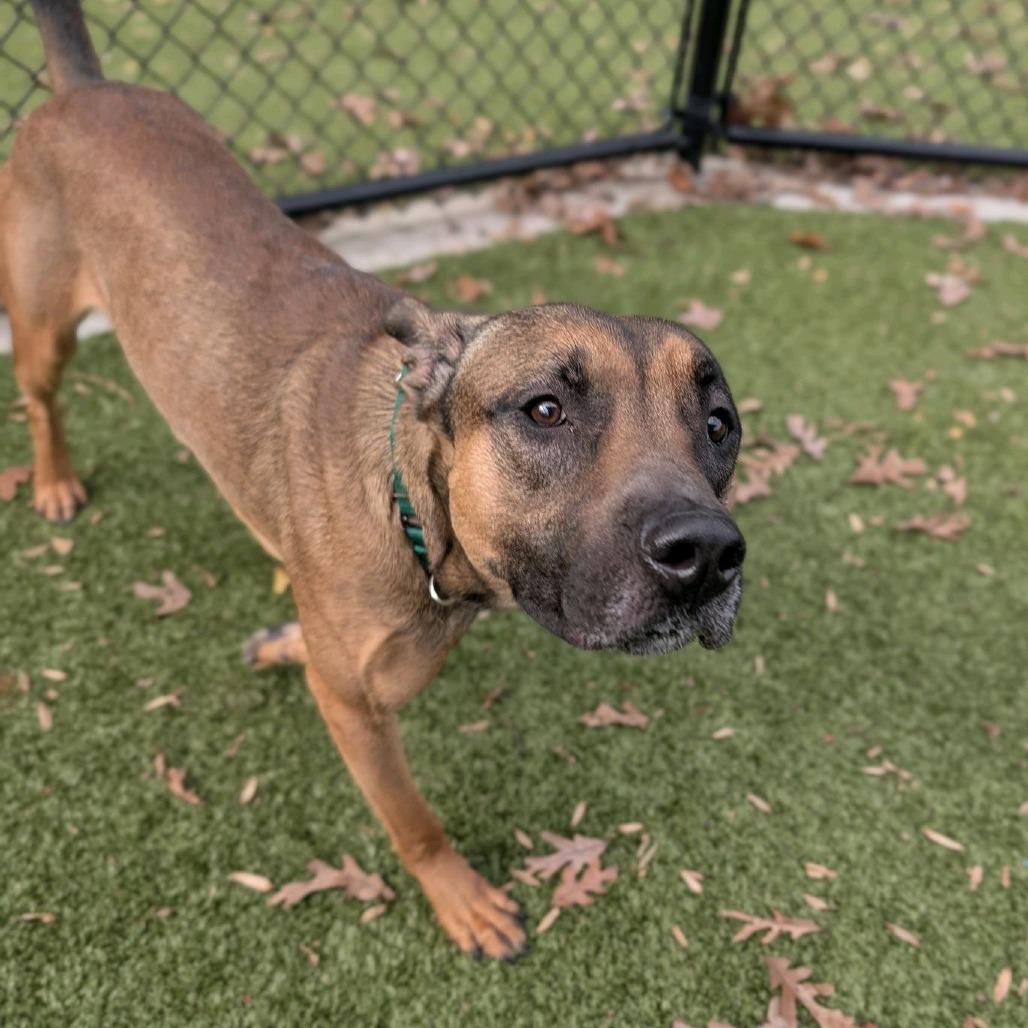 Scrambled Egg photo 1