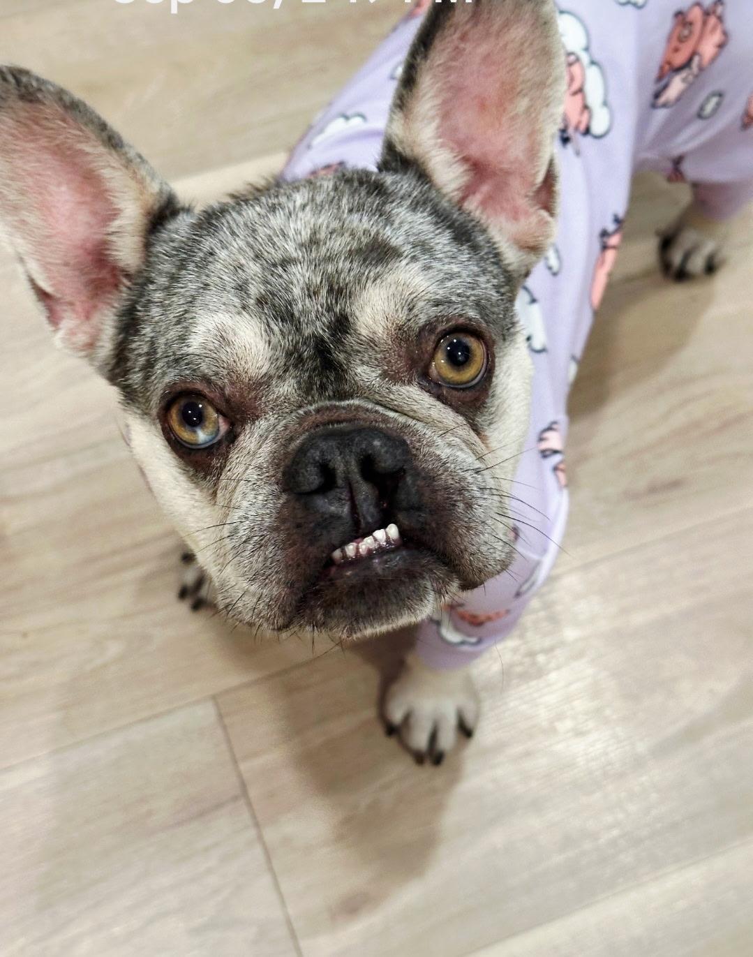 Emma Seeking Her Happily