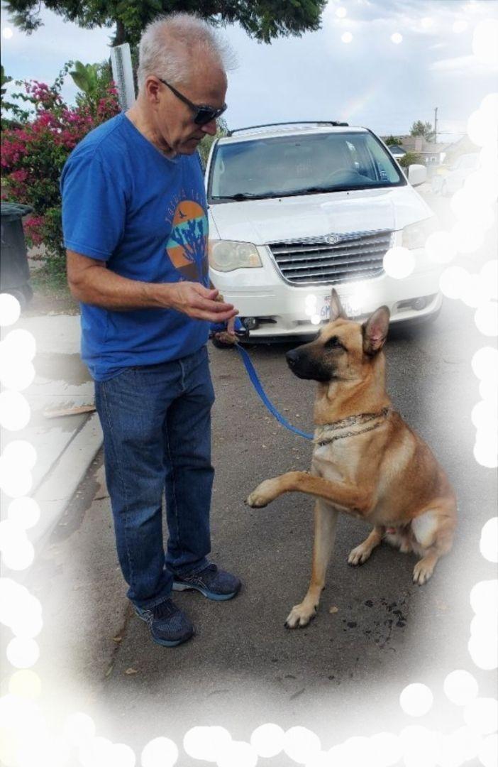 Sir Tucker Pupper Part