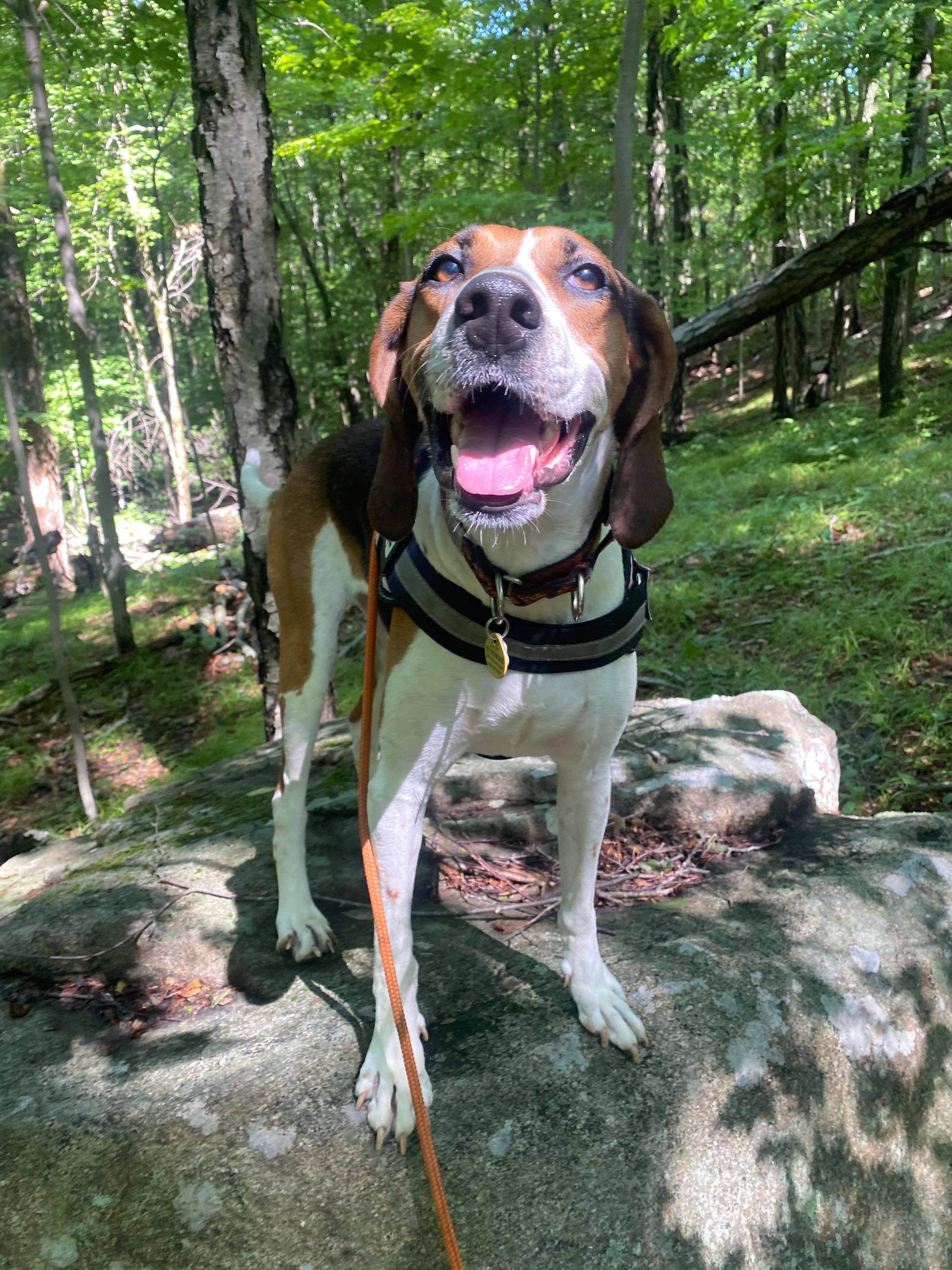 Darling Dolly photo 1