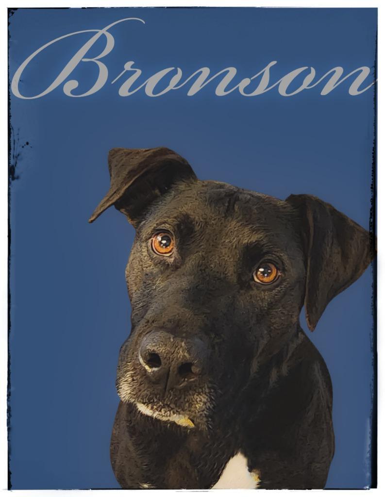 Bronson