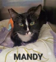 Mandy