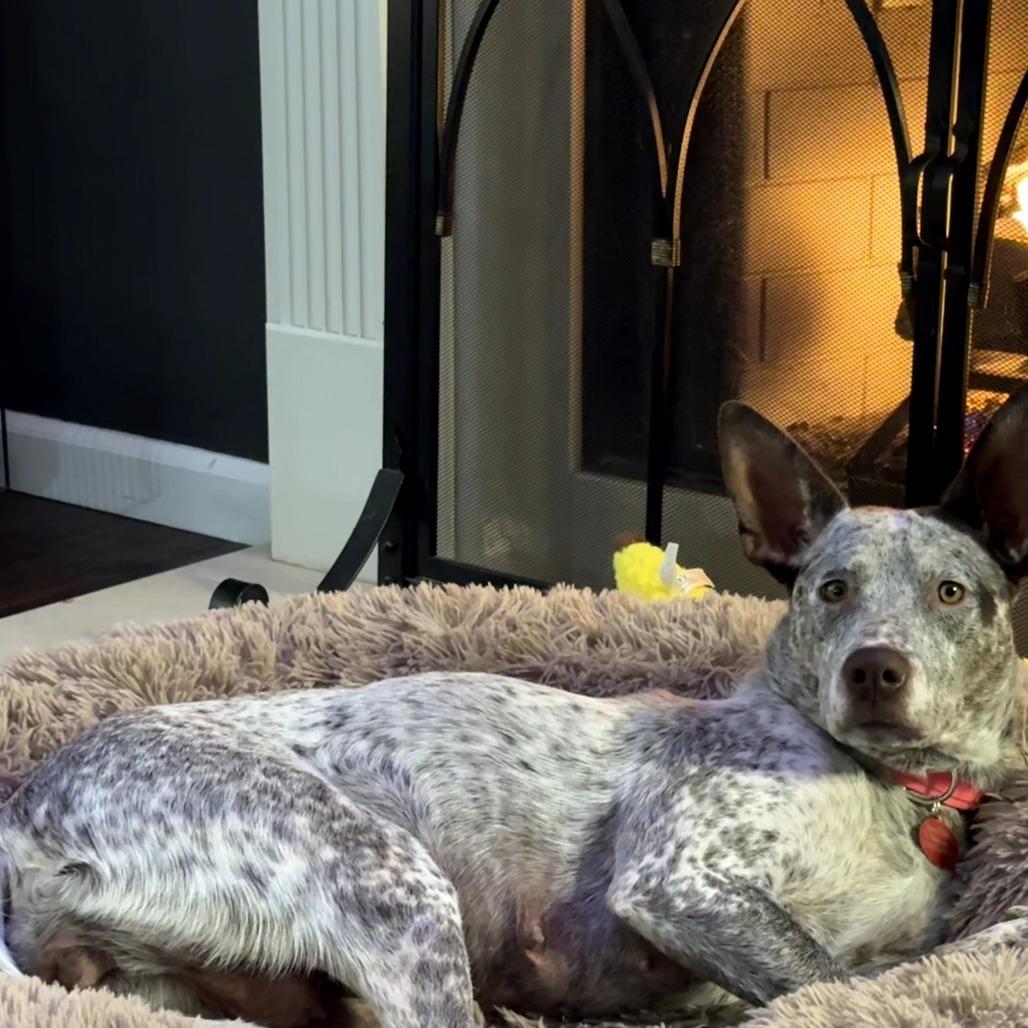 Maggie O'hooliganmom