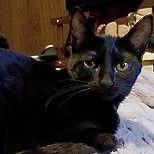 Zz Shawna ~ Courtesy