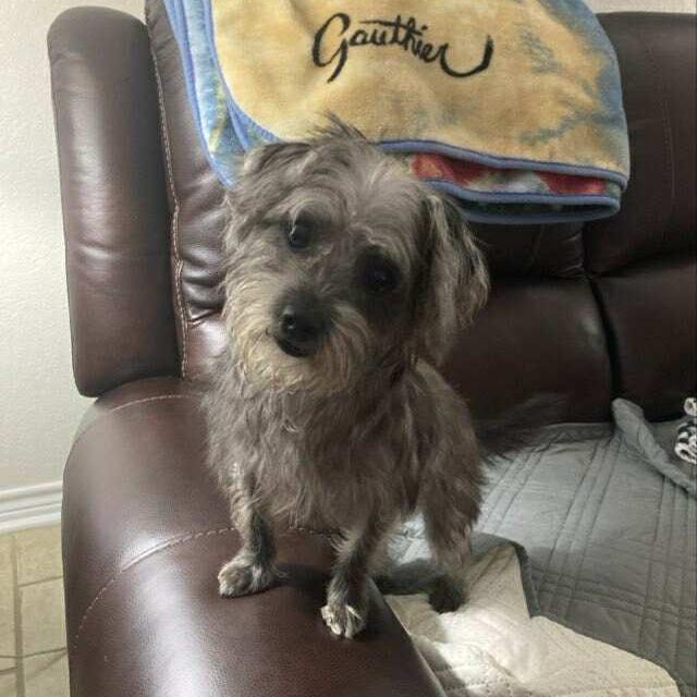 Maxine Rae Im photo 1