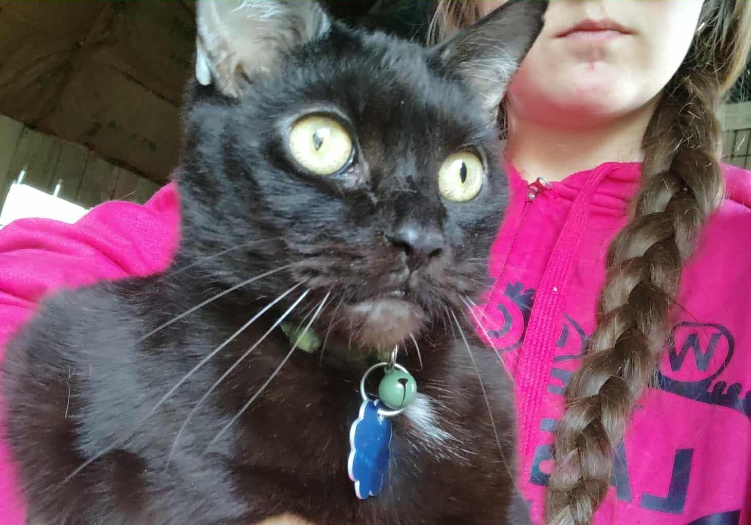 Salem Aka Calvin photo 1