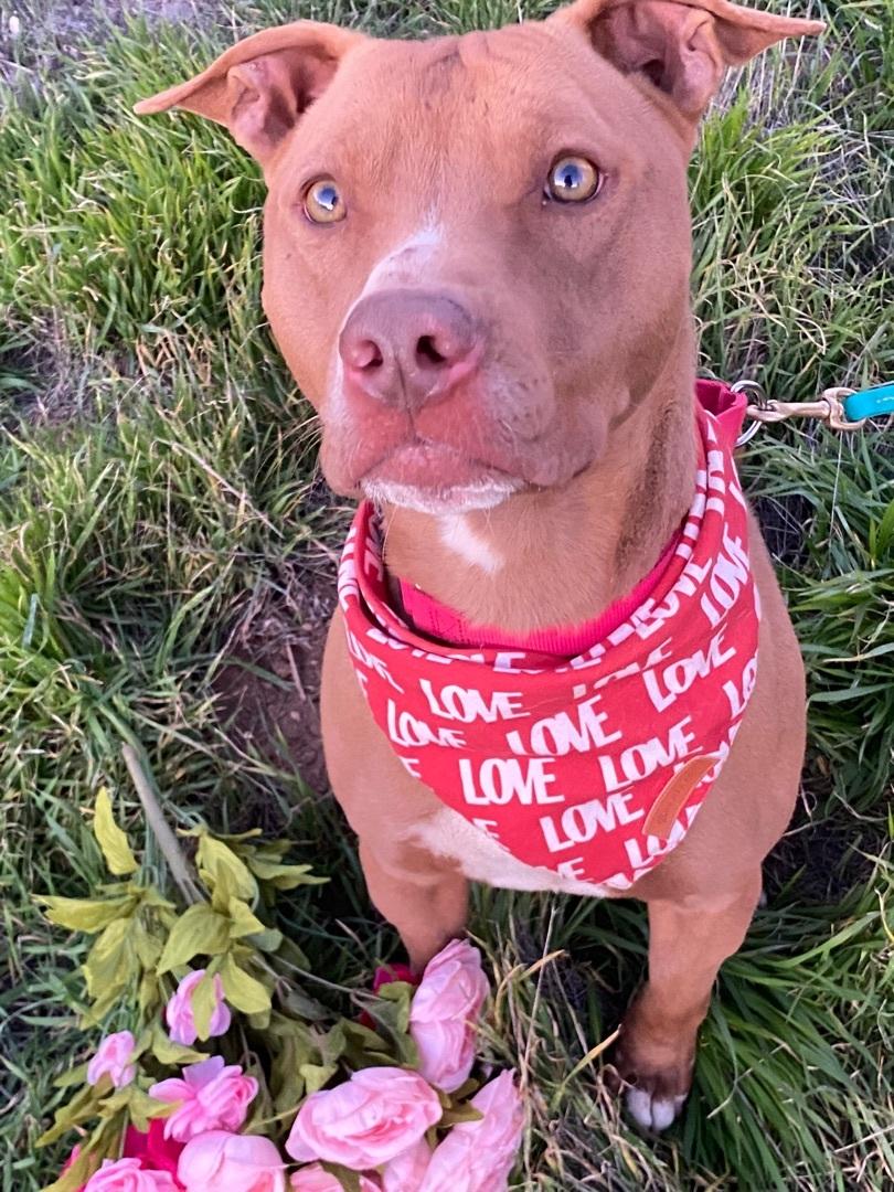 Awesome Handsome Sweet