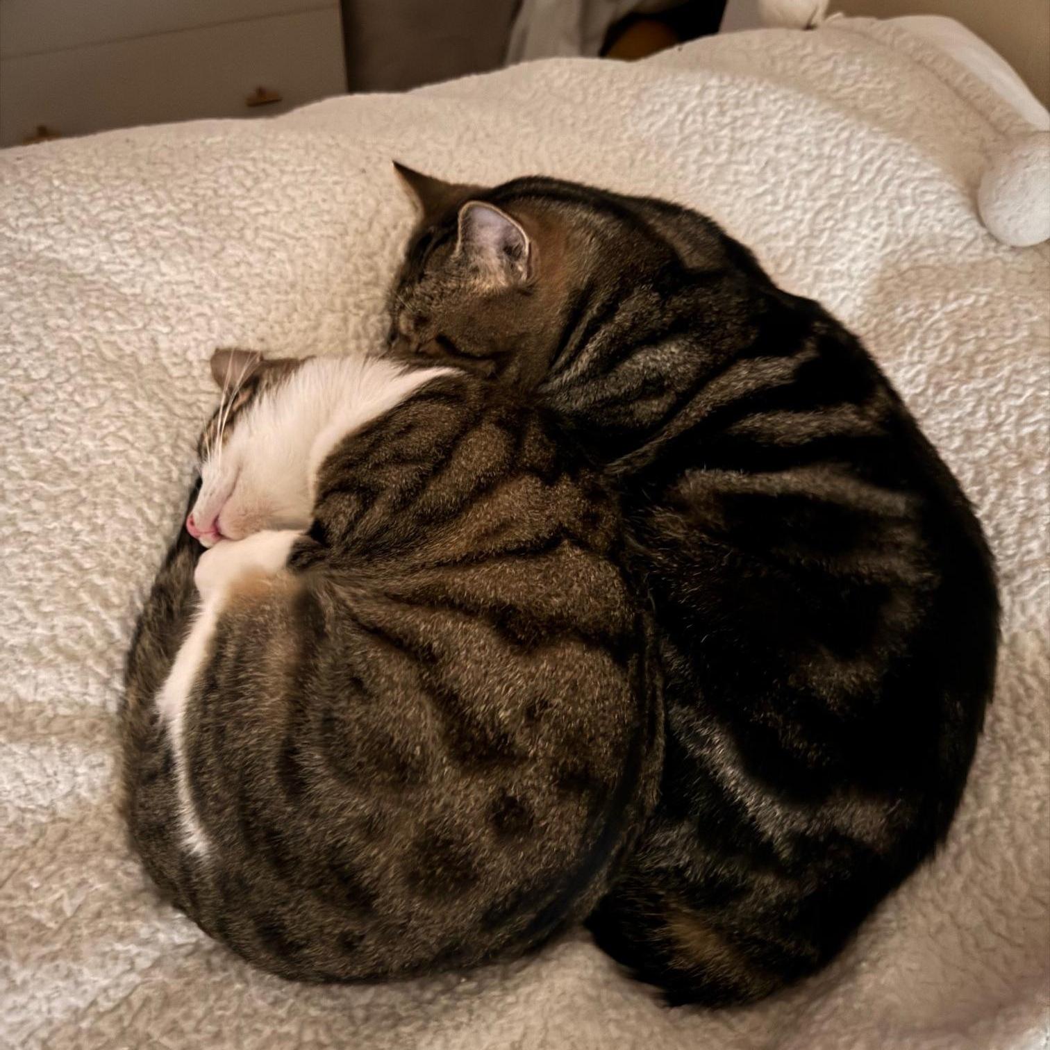 Franklin And Nashville