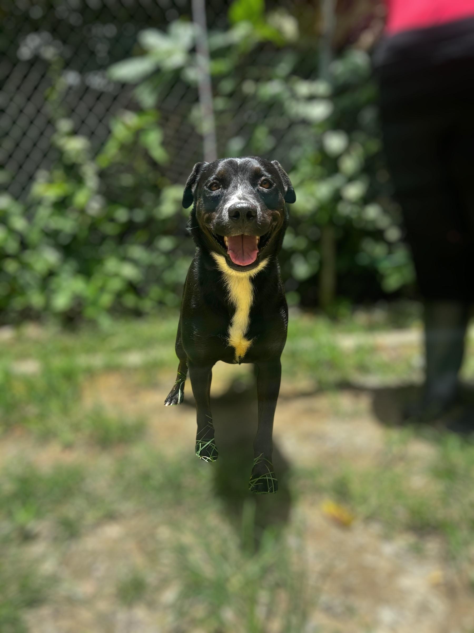 Polite Picasso photo 1