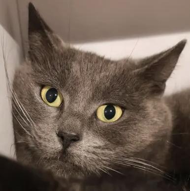 Coco Bonded To Tawna