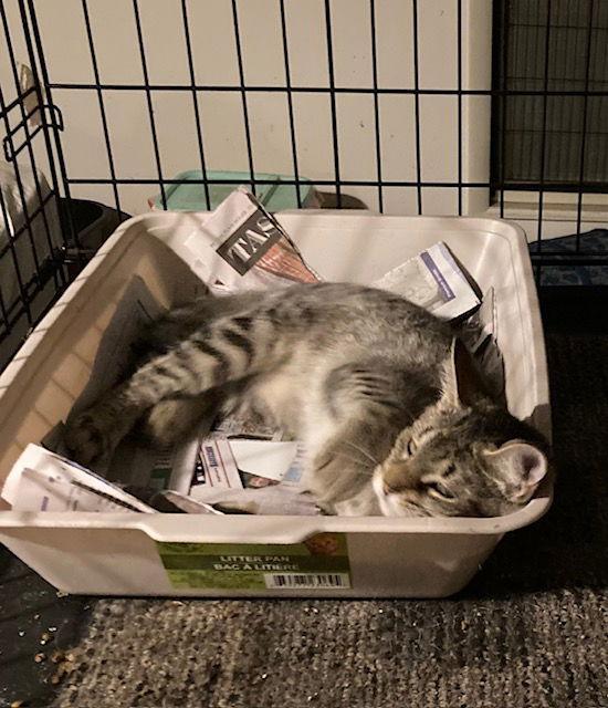 Connie Bonded With Cassandra