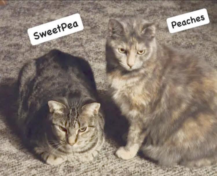 Peaches And Sweetpea