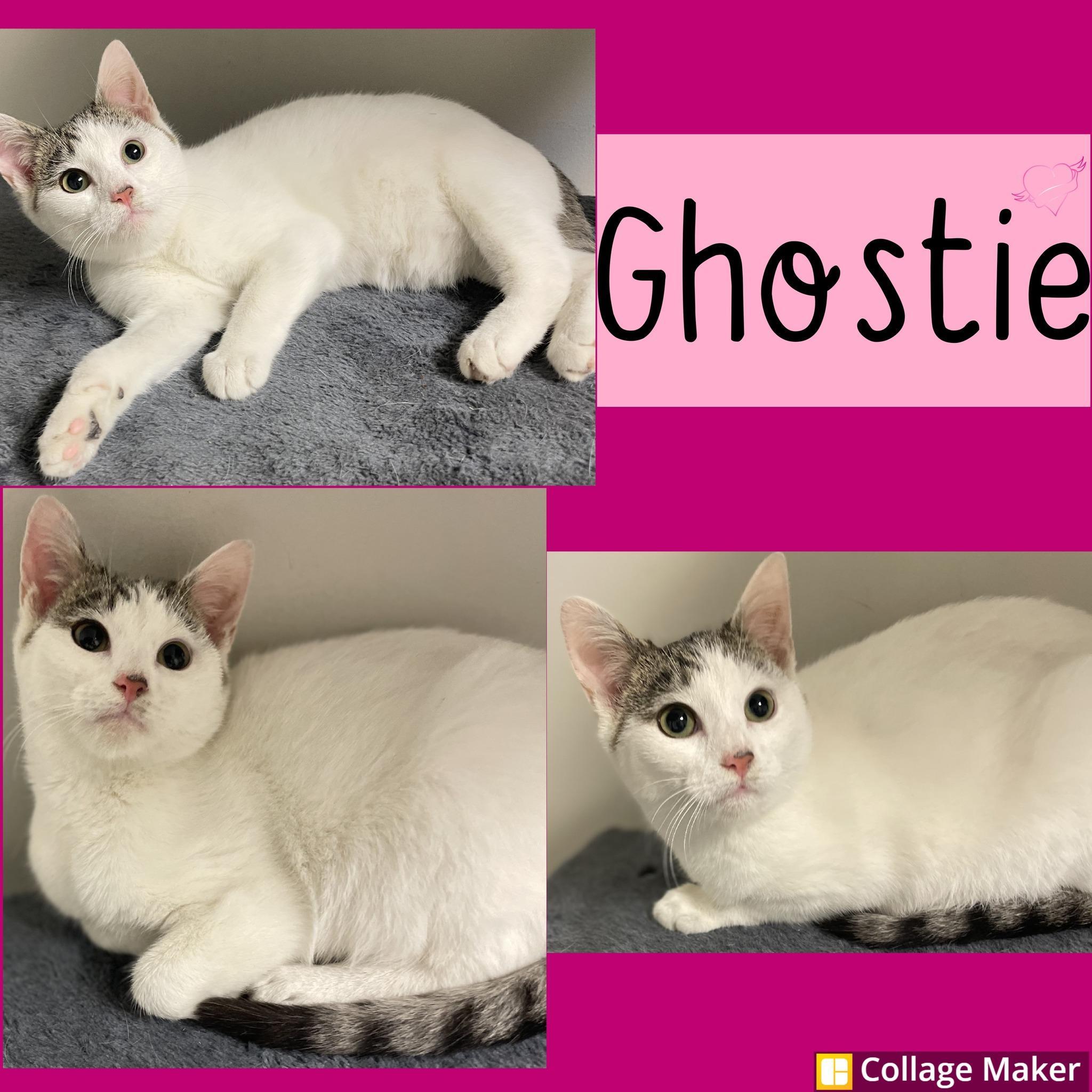Ghostie