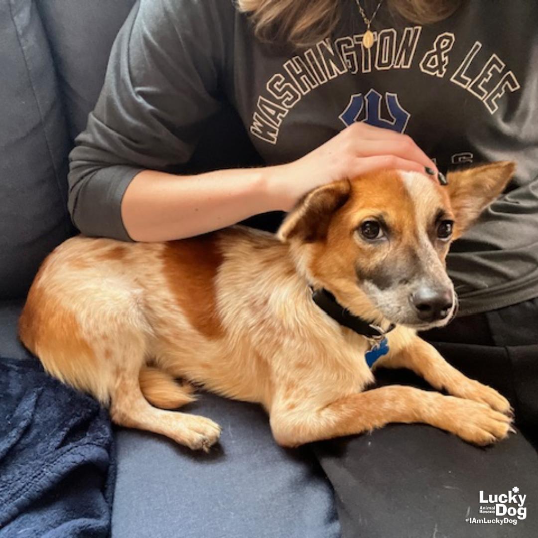 Monterey Jack photo 1