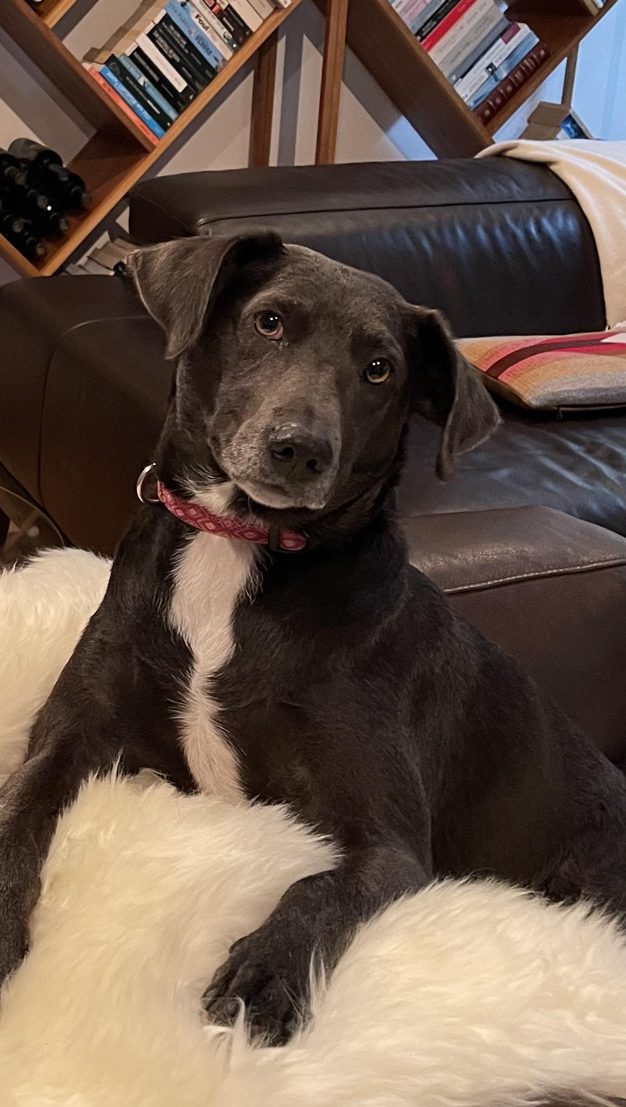 Etta Courtesy Listing