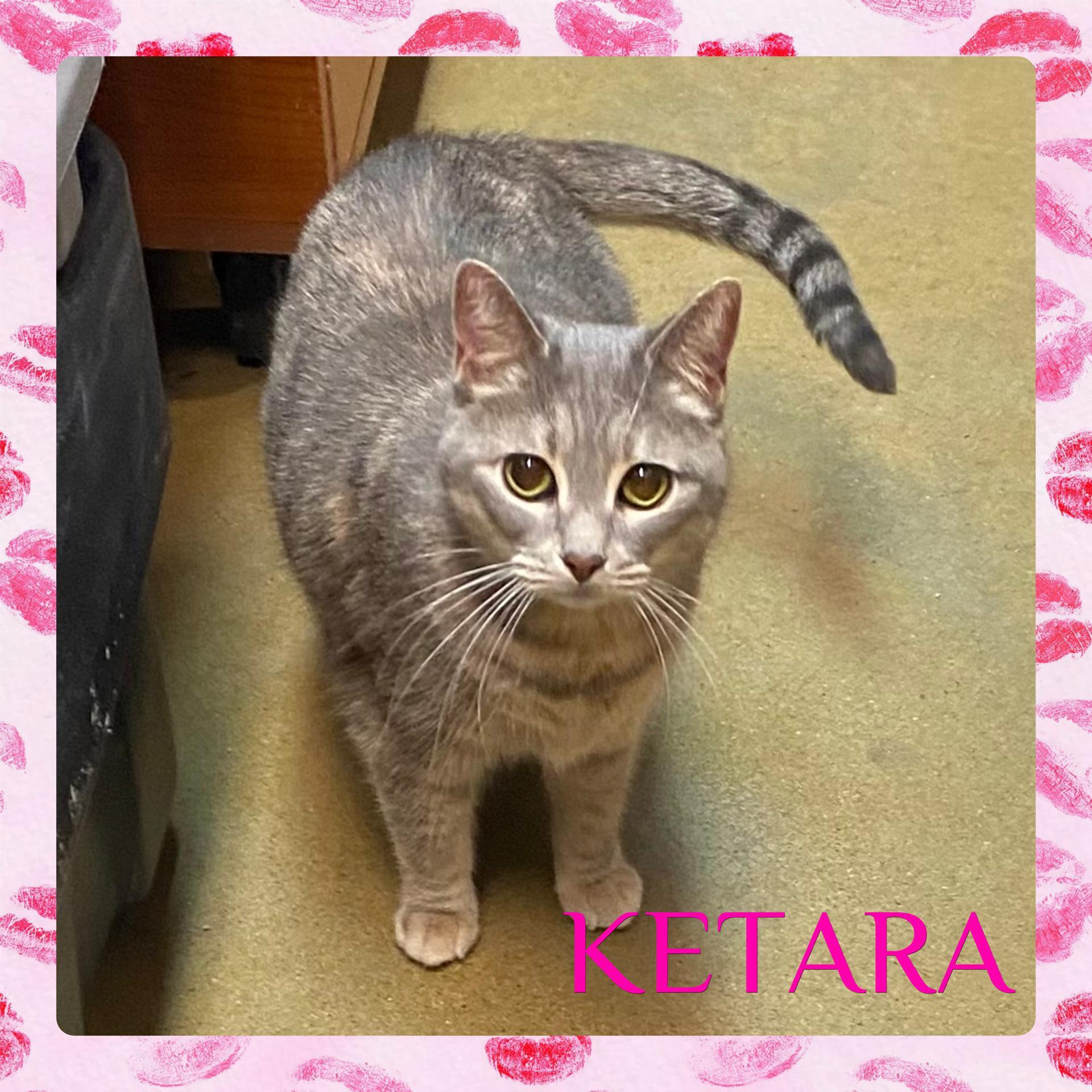 Ketara