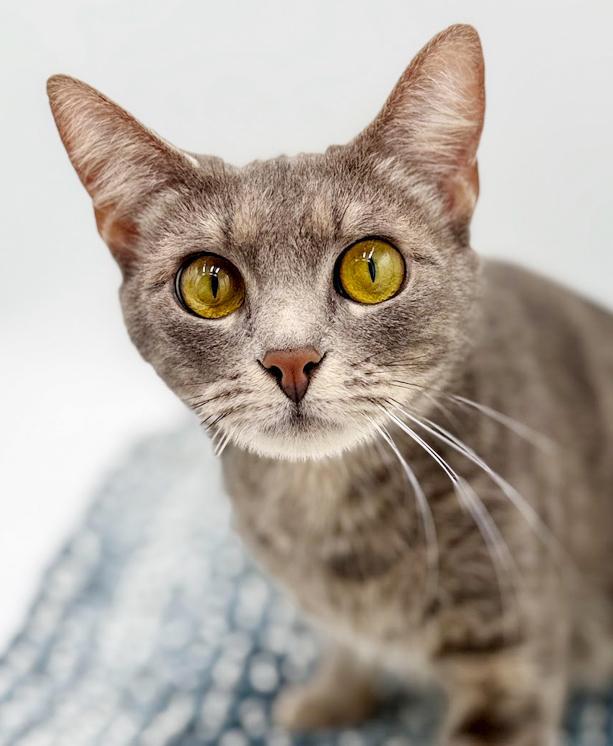 Beans Is Well... The